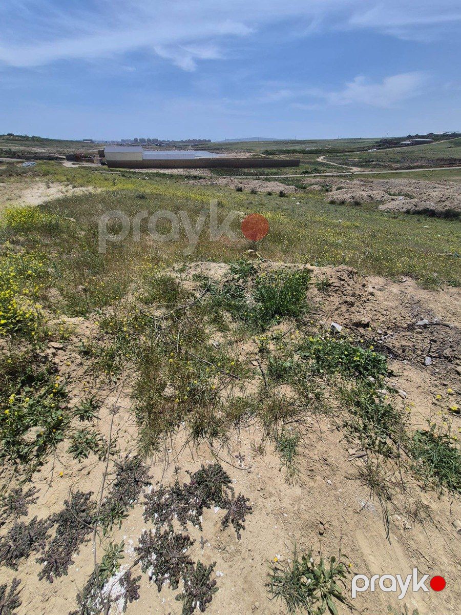 6 sot torpaq sahəsi, Saray qəs — Torpaq, Sumqayıt (3)