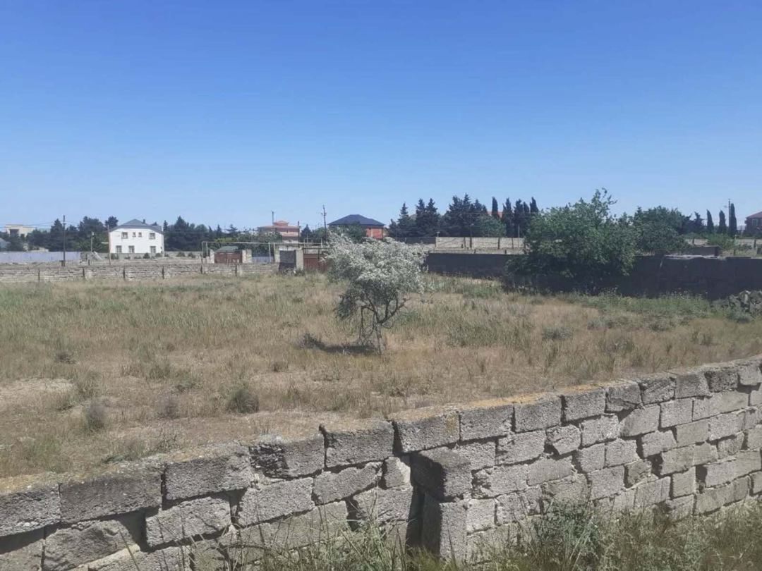 Satılır torpaq 10 sot — Torpaq, Bakı (3)