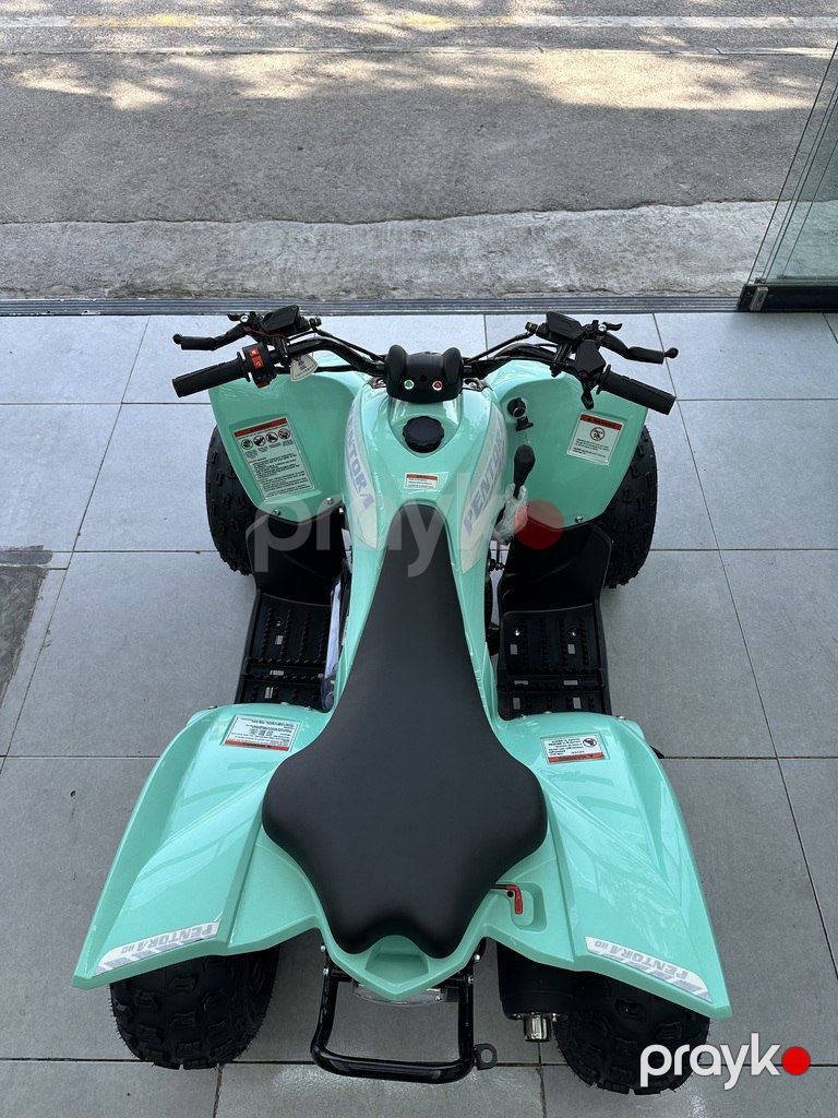 Pentora 110R-EFİ, 2025 il — Motosiklet və mopedlər, Bakı (7)
