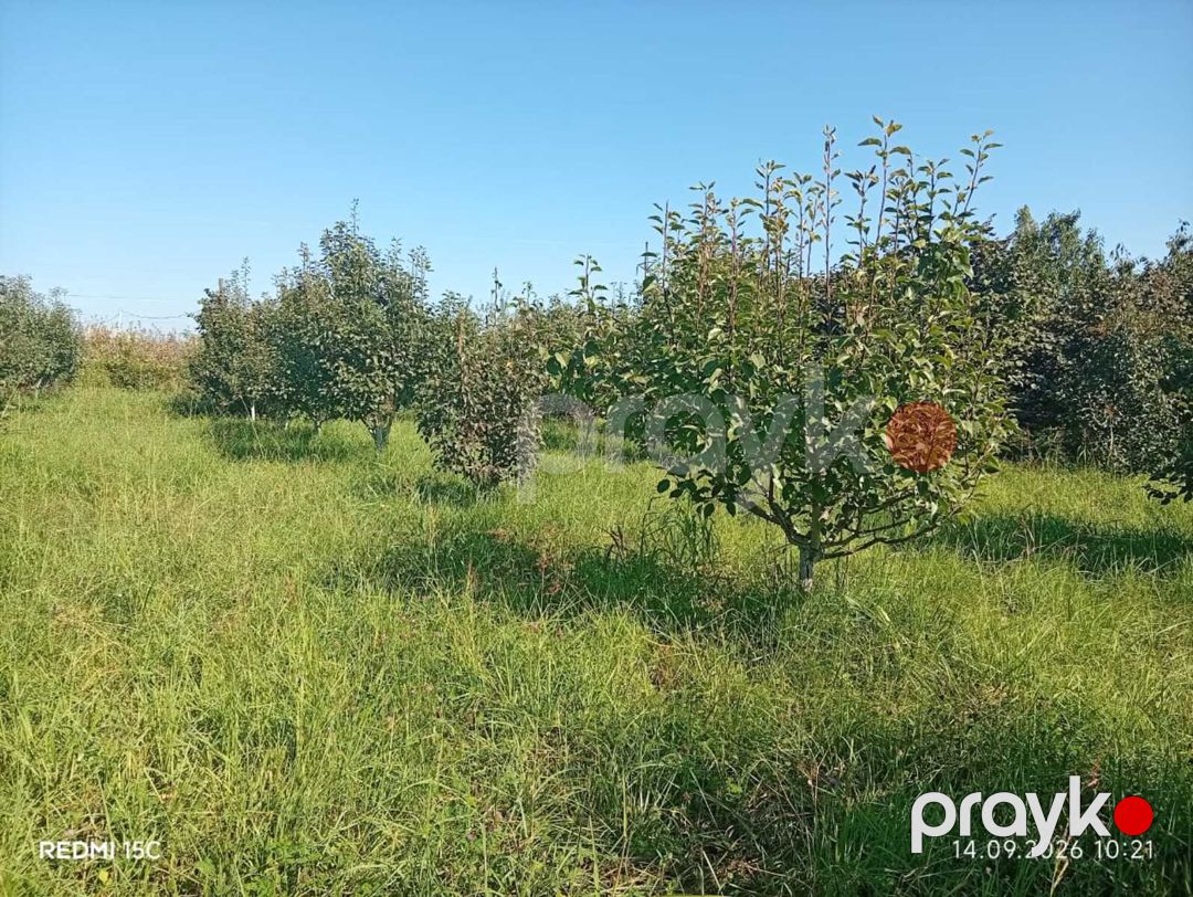 Satılır torpaq 10 sot — Torpaq, Quba (4)