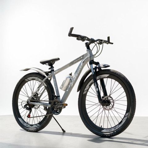 Dağ velosipedi Velostrim 29205SB — Bakı