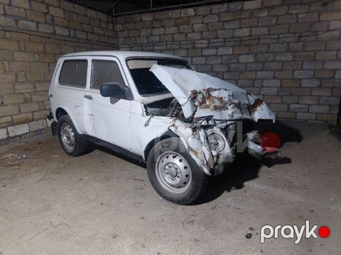 Lada (VAZ) Niva, 1.7 L, 1995 il, 158 888 km — Bərdə