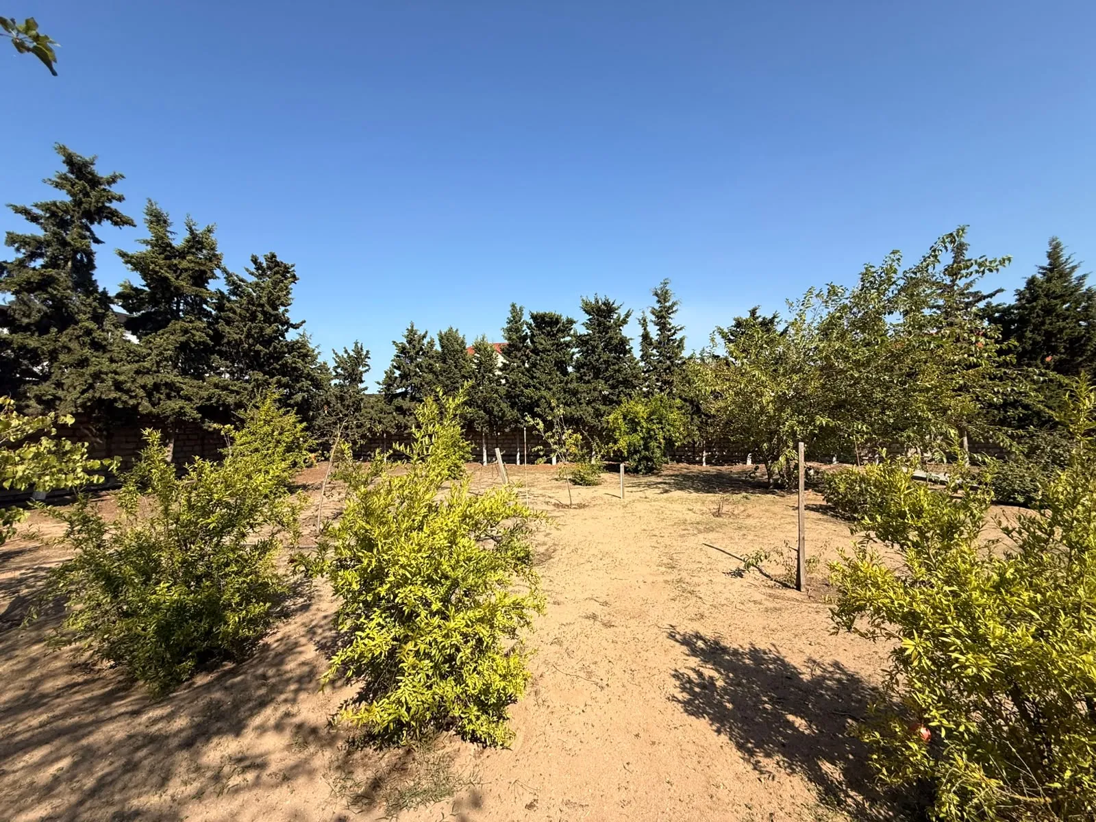 Mərdəkan, Torpaq satılır - 11 sot — Torpaq, Bakı (2)