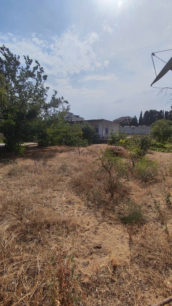 13.1 sot torpaq sahəsi, Bilgəh qəs — Torpaq, Bakı (7)