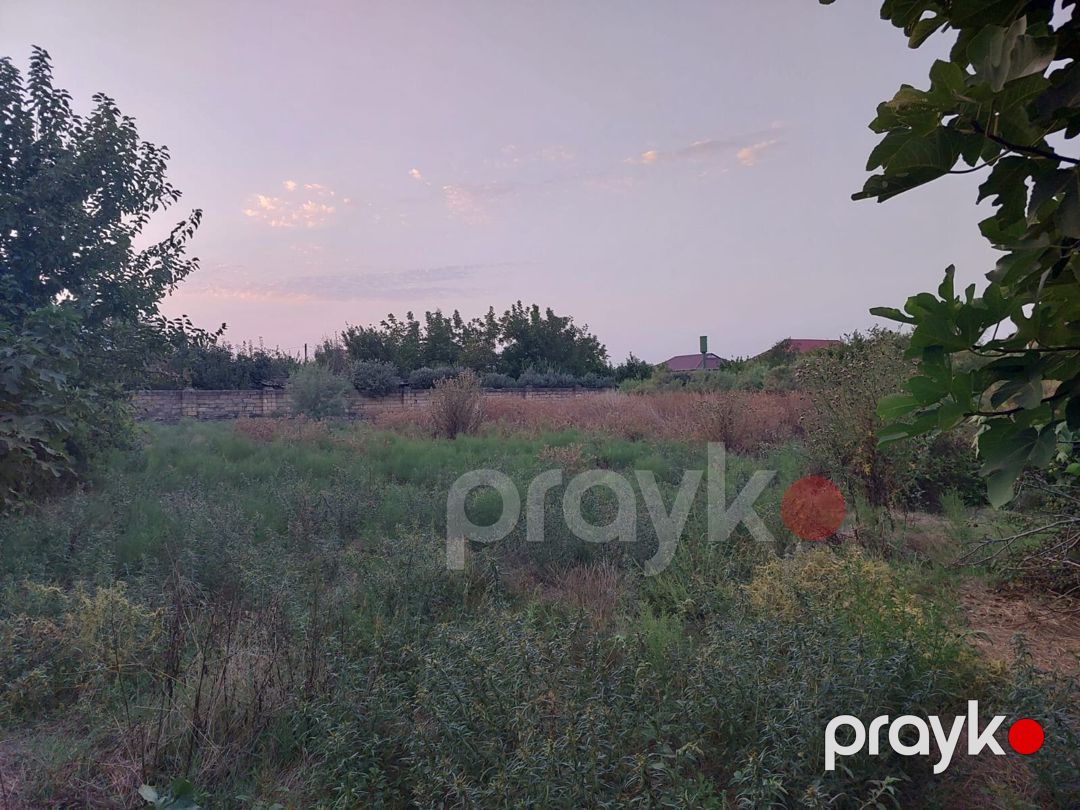 20 sot torpaq sahəsi, Masallı ş — Torpaq, Bakı (2)