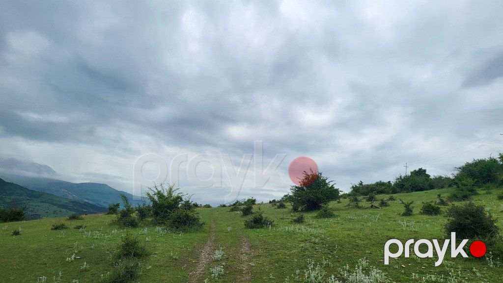 Satılır torpaq 100 sot — Torpaq, Qusar (3)