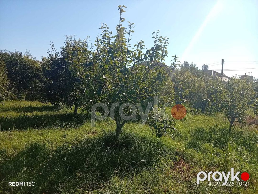 Satılır torpaq 10 sot — Torpaq, Quba (3)