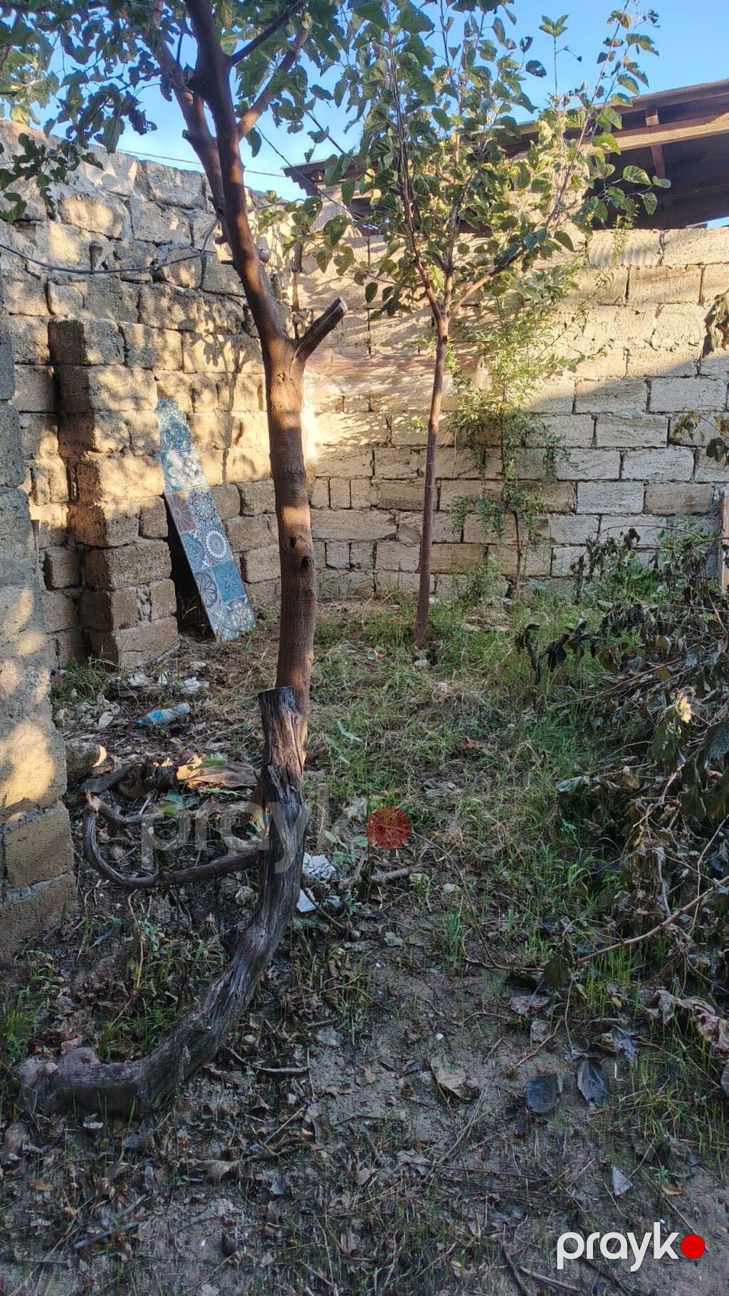 Salam maşataga karvan şadliq evin arxasinda yerlesir.yari tikilidir — Ev, villa, Bakı (3)