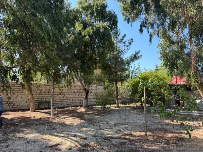 Satılır Torpaq 77 sot Bakı, Xəzər r., Mərdəkan — Torpaq, Bakı (5)
