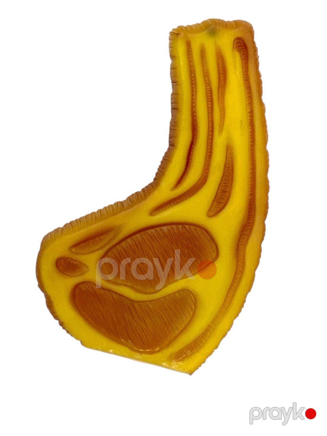 İtlər üçün oyuncaq WS_K-522-16-51, rəngbərəng — Mallar, Bakı (3)