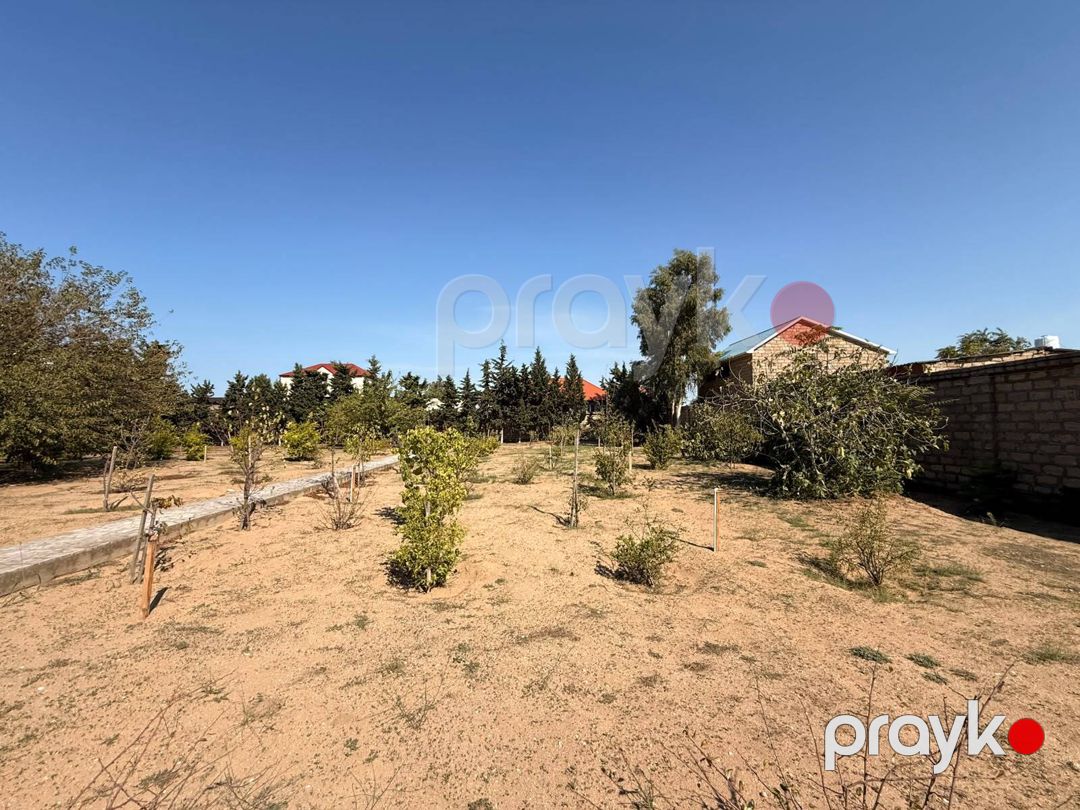 Satılır torpaq 11 sot — Torpaq, Bakı (7)