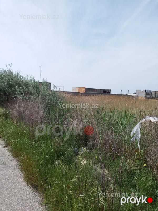 Satılır Torpaq sahəsi, 330 sot, Qaradağ rayonu — Torpaq, Bakı (5)