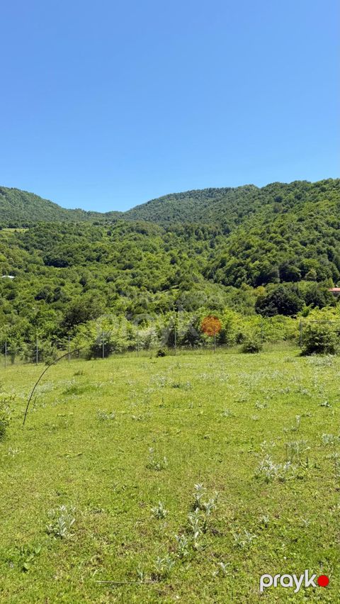 Satılır həyət evi, Quba r-nu