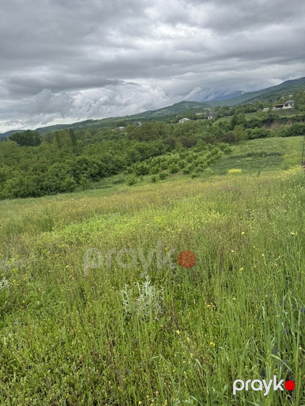 Kənd təsərrüfatı — Torpaq, Quba (5)