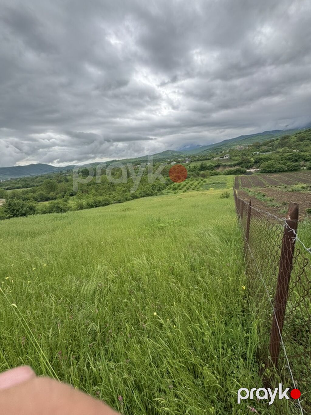 Kənd təsərrüfatı — Torpaq, Quba (2)