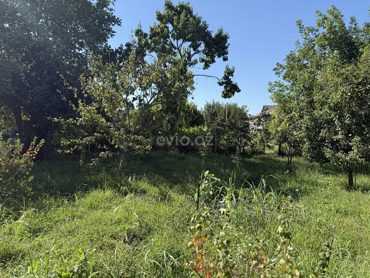Torpaq sahəsi satılır Xaçmazda — Torpaq, Xaçmaz (2)