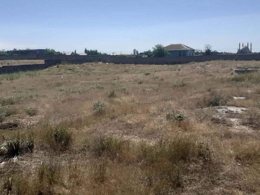 Satılır torpaq 25 sot — Torpaq, Bakı (2)