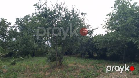 20 sot torpaq sahəsi, İsmayıllı r — İsmayıllı