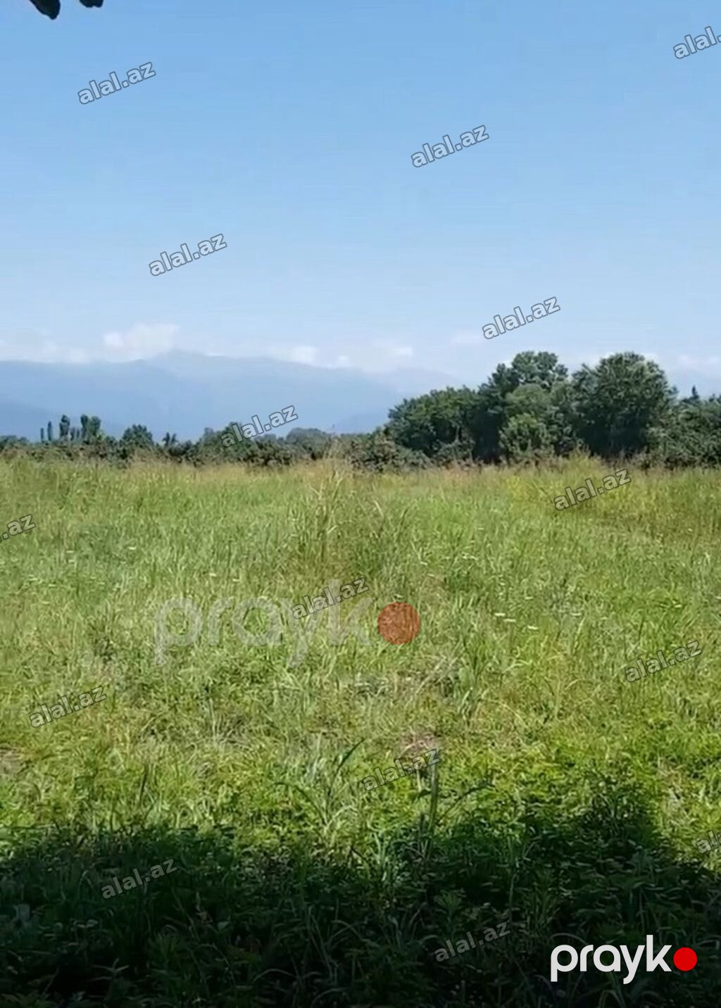 100 sot, Mülkiyyətçi, Kupça (Çıxarış) — Torpaq, Zaqatala (3)