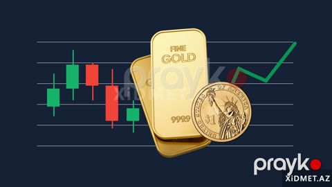 Forex kursu — Oğuz