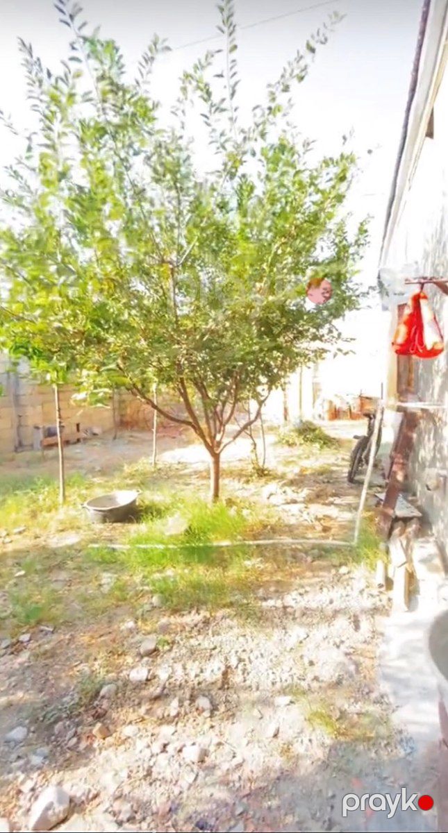 Həyət evi, Günəşli qəs — Ev, villa, Mingəçevir (5)