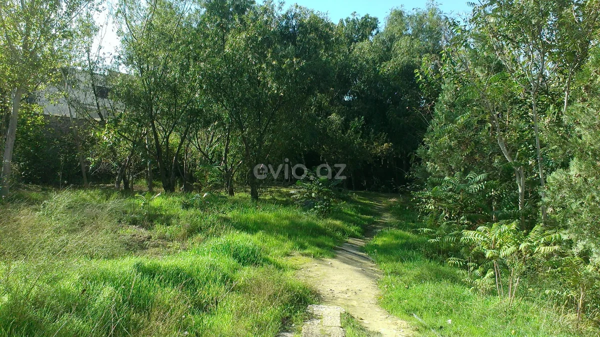 Torpaq sahəsi satılır Həzi Aslanov qəsəbəsində — Torpaq, Bakı (3)