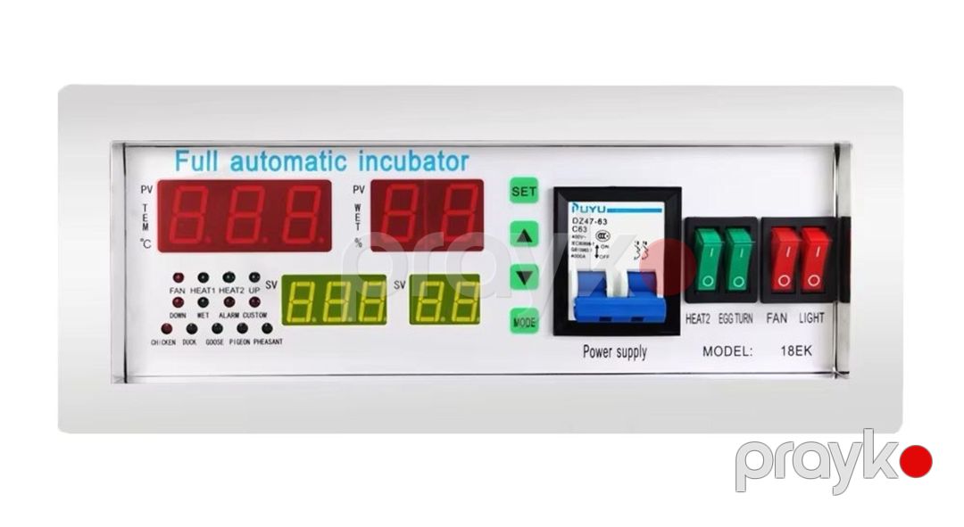 Avtomatik inkubator beyni — Biznes və avadanlıq, Bakı (7)