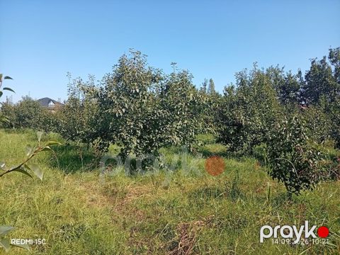 Salam Qubanin Alekseyevka kendinde 10 sot torpaq satiram — Quba