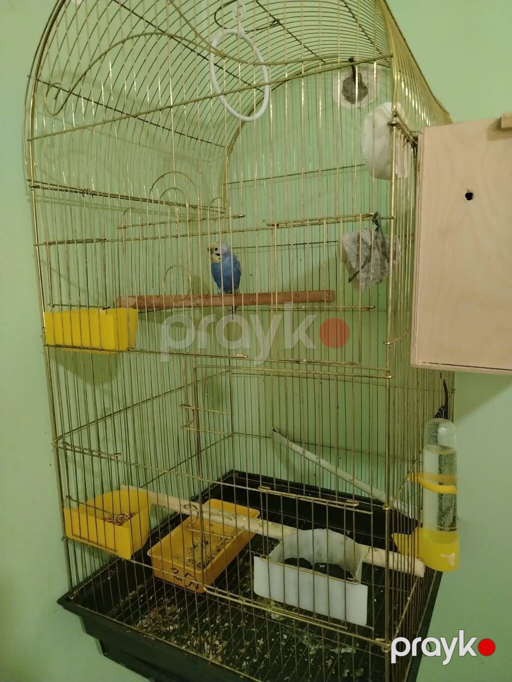 Hamsinin altinda bala var optovoy satilir - Müxtəlif ölçü və dizaynda — Qəfəslər, Bakı (2)