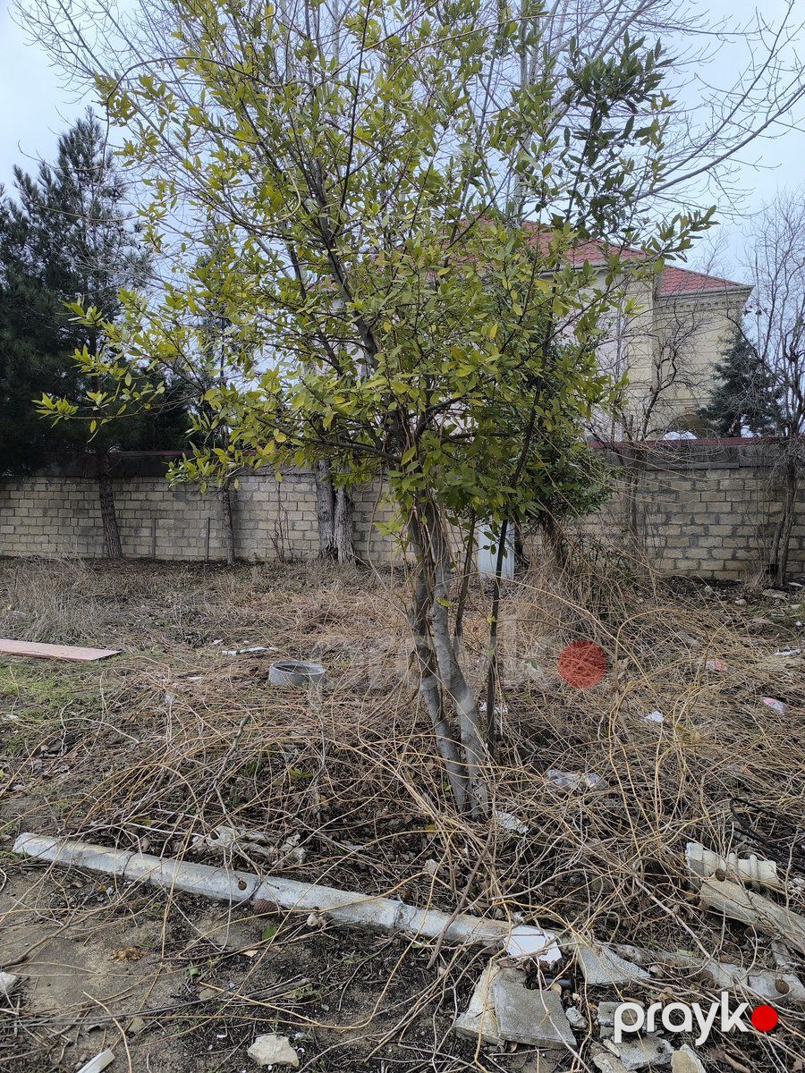 Satılır torpaq 6 sot — Torpaq, Bakı (6)