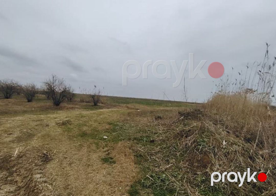 Satılır torpaq 2312 sot — Torpaq, Biləsuvar (4)