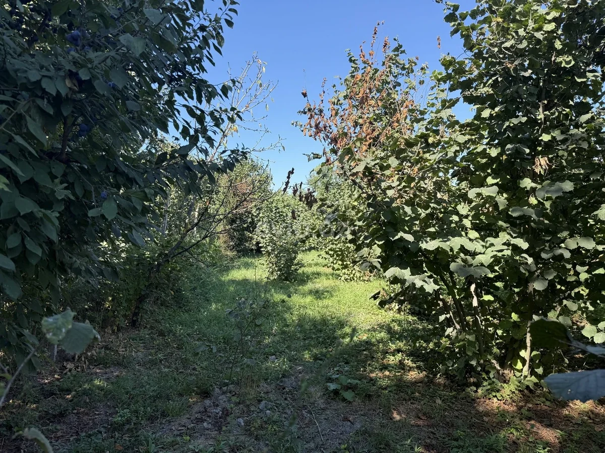 Torpaq sahəsi satılır Xaçmazda — Torpaq, Xaçmaz (5)