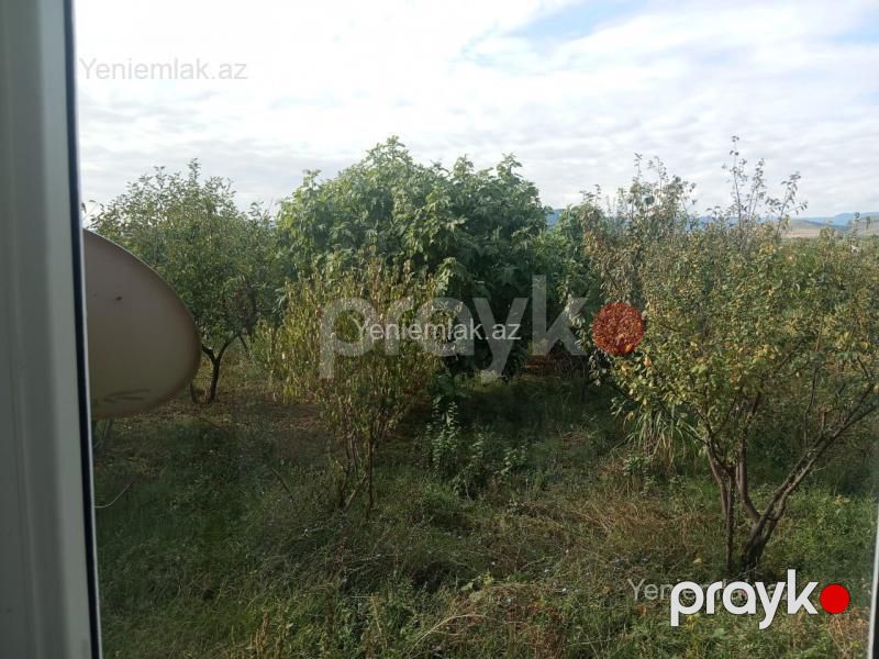 Satılır 4 otaqlı Həyət evi / Villa, 146 m², Şabran — Ev, villa, Şabran (10)