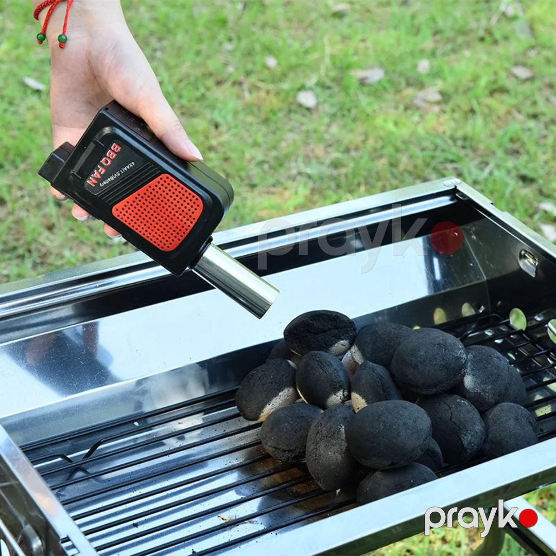 Manqala hava vuran elektron — Mallar, Bakı (2)