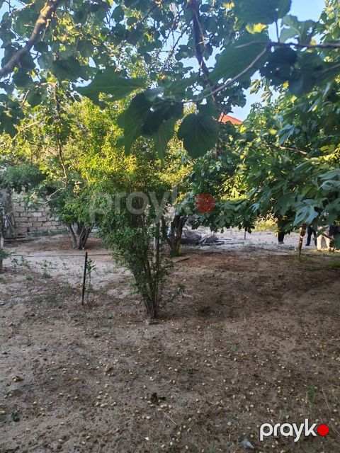 2.27 sot torpaq sahəsi, Corat qəs