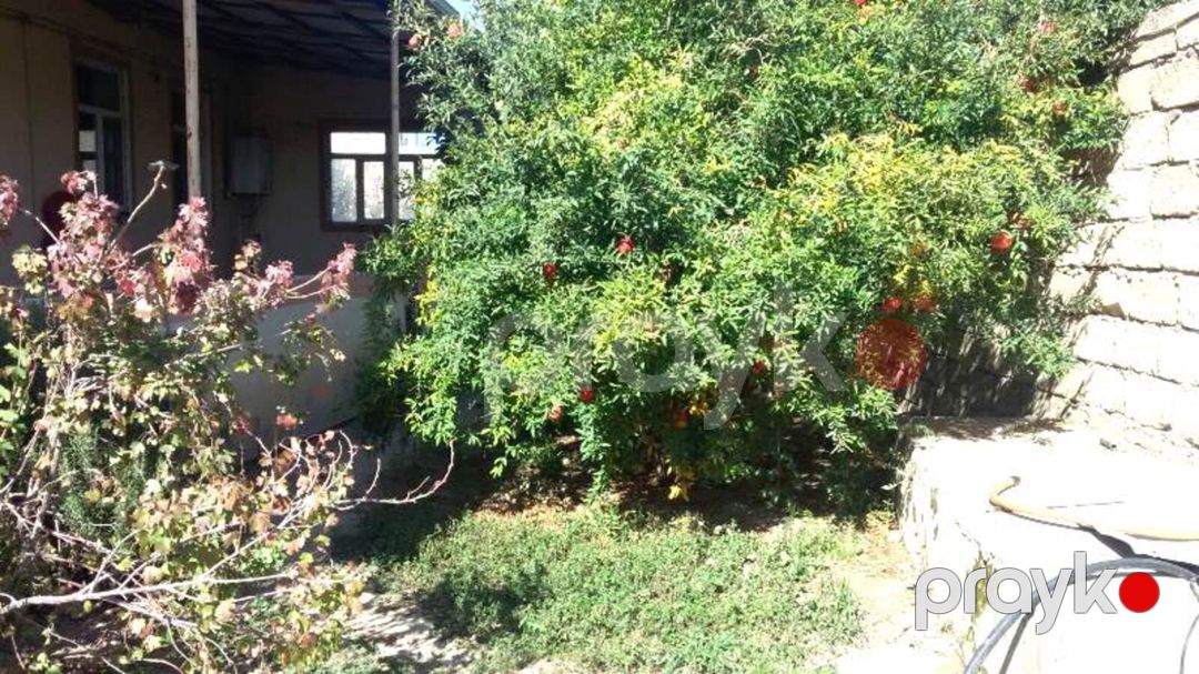 Satılır torpaq 7.5 sot — Torpaq, Bakı (4)