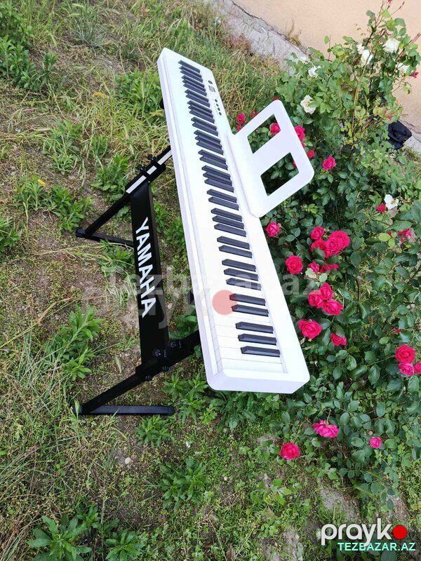 Elektro pianino — Digər, Bakı (5)