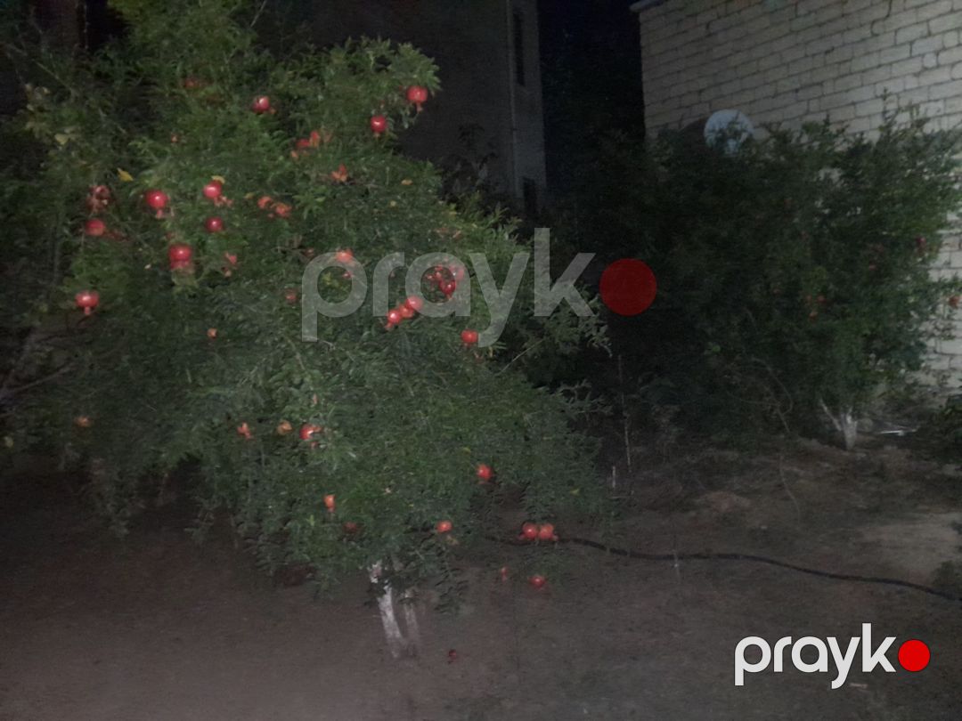 Həyət evi, Masazır qəs — Ev, villa, Bakı (5)
