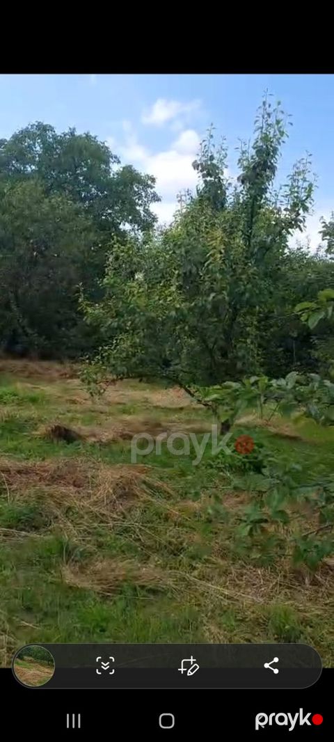 10 sot torpaq sahəsi, Birinci Nügədi kəndi — Quba
