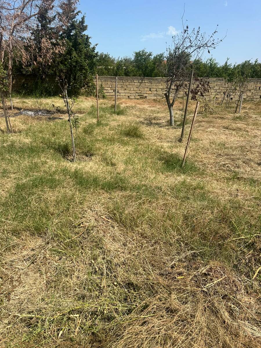 Satılır torpaq 4 sot — Torpaq, Bakı (10)