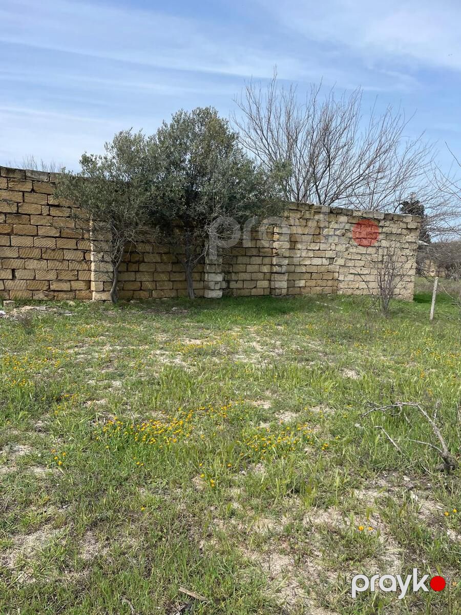 Satılır torpaq 24 sot — Torpaq, Bakı (10)