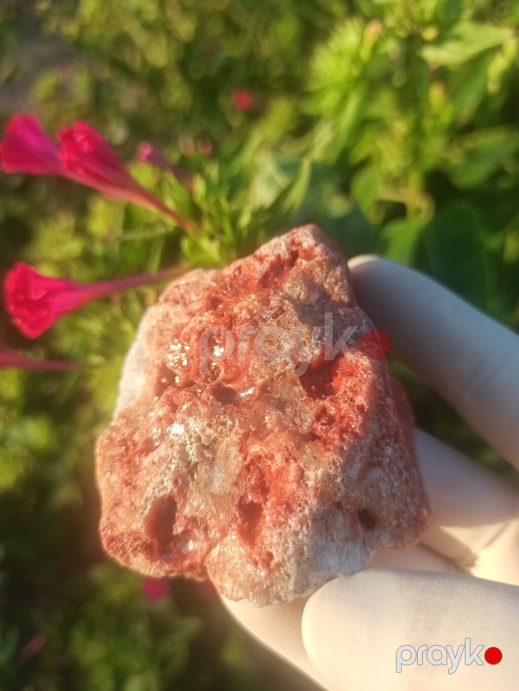 Təbii kolleksiya daşı – qırmızı-russet rəng keçidli, ağ-kvarsvari — Digər, Sumqayıt (5)