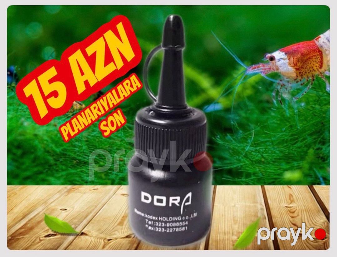 Akvarium üçün avadanlıqlar — Akvariumlar və balıqlar, Bakı (5)