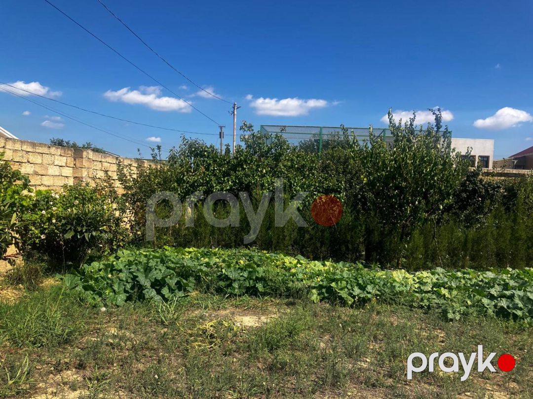 Satılır torpaq 12 sot — Torpaq, Bakı (9)