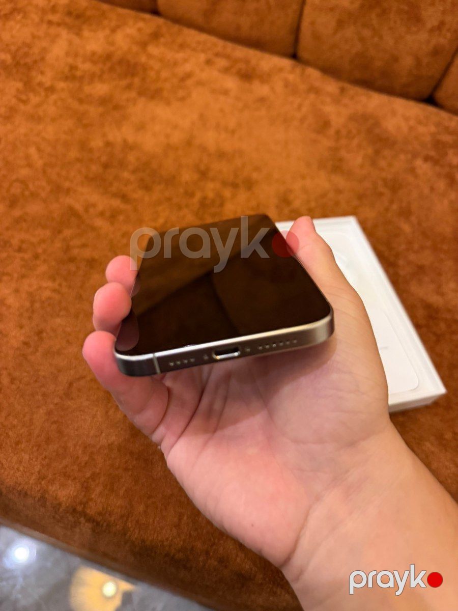 Apple iPhone 15 Pro Max Natural Titanium 256GB/8GB — Smartfonlar, Bakı (4)