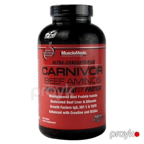 Amini carnivor — Bakı