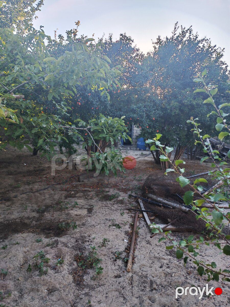 2.27 sot torpaq sahəsi, Corat qəs — Torpaq, Sumqayıt (5)