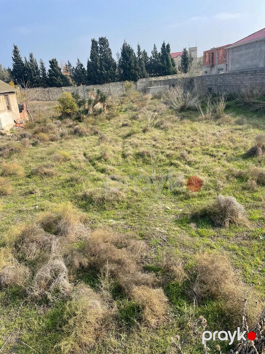 Satılır torpaq 24 sot — Torpaq, Bakı (6)