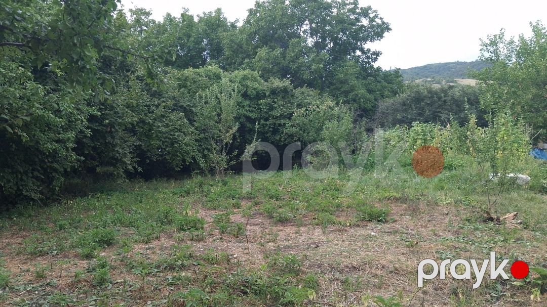 20 sot torpaq sahəsi, İsmayıllı r — Torpaq, İsmayıllı (7)