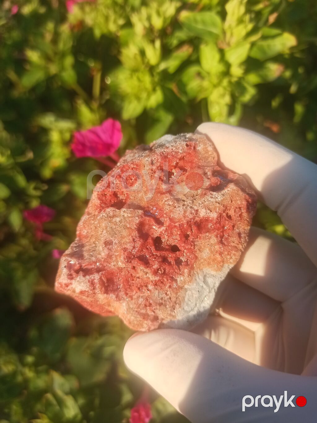 Təbii kolleksiya daşı – qırmızı-russet rəng keçidli, ağ-kvarsvari — Digər, Sumqayıt (9)